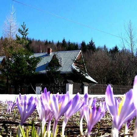Goralska Czarcia Chata Pod Jalowcem Стрышава Экстерьер фото